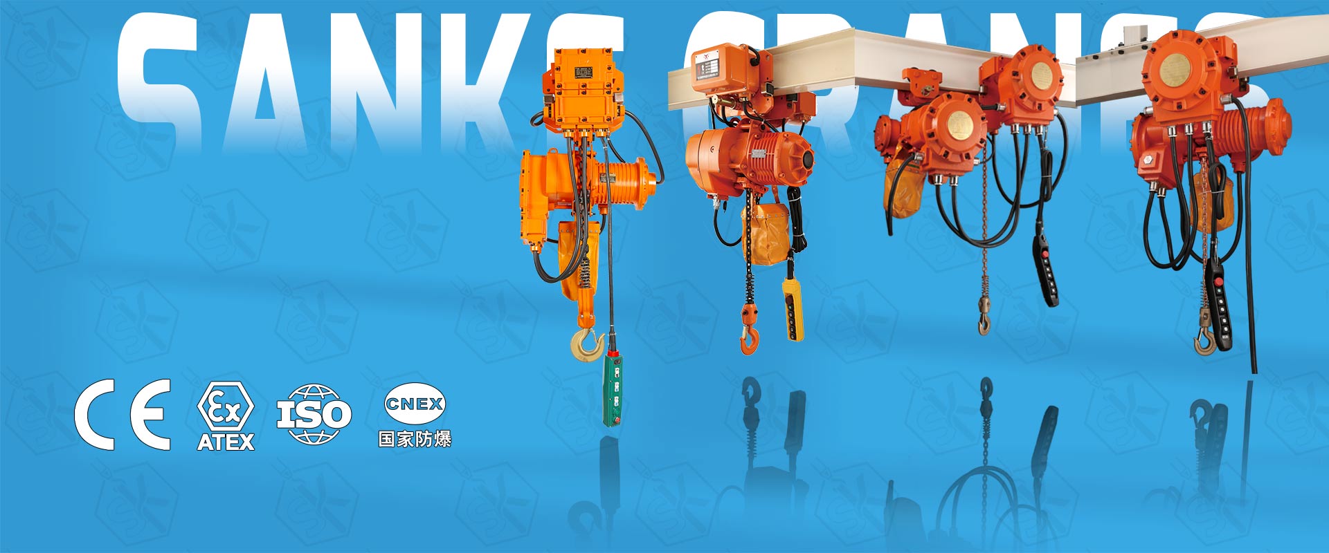 sanke Electric hoist